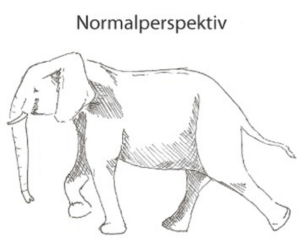 Elefantinormalperspektiv